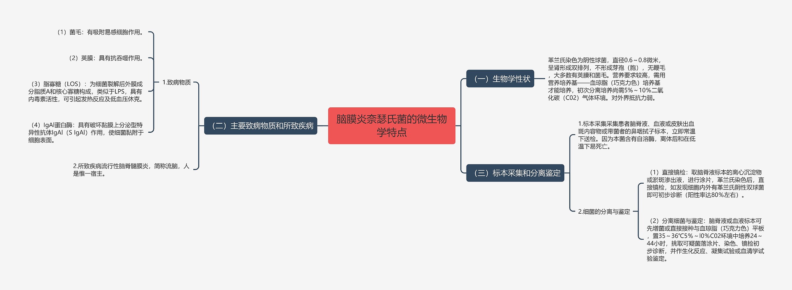 脑膜炎奈瑟氏菌的微生物学特点思维导图