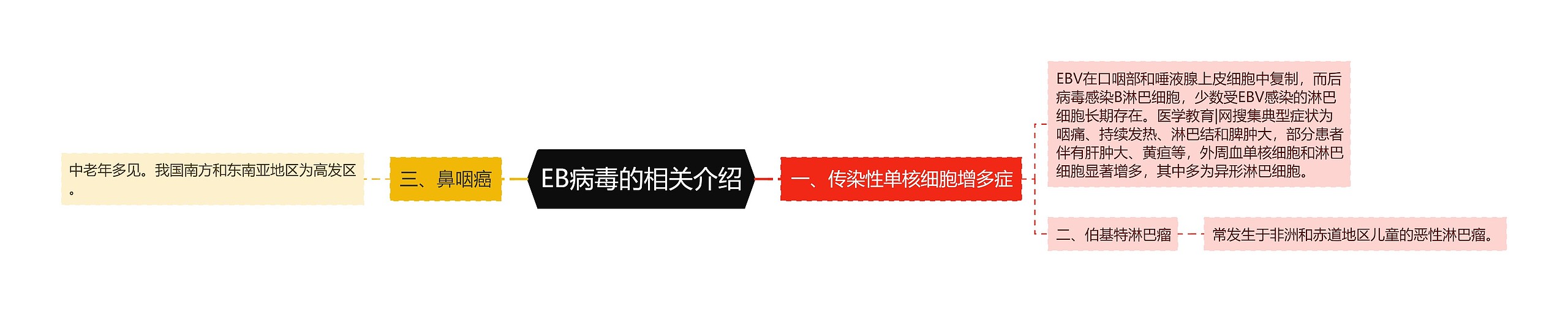 EB病毒的相关介绍 EB病毒的相关介绍