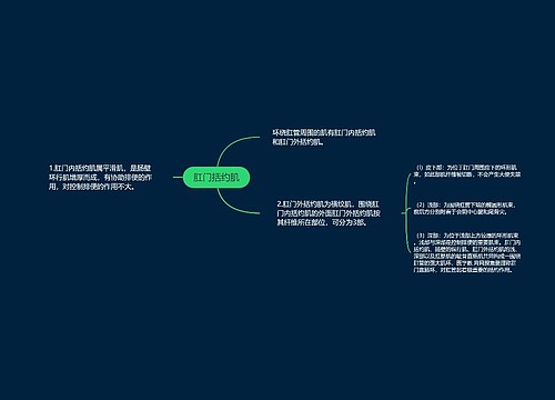 肛门括约肌思维导图