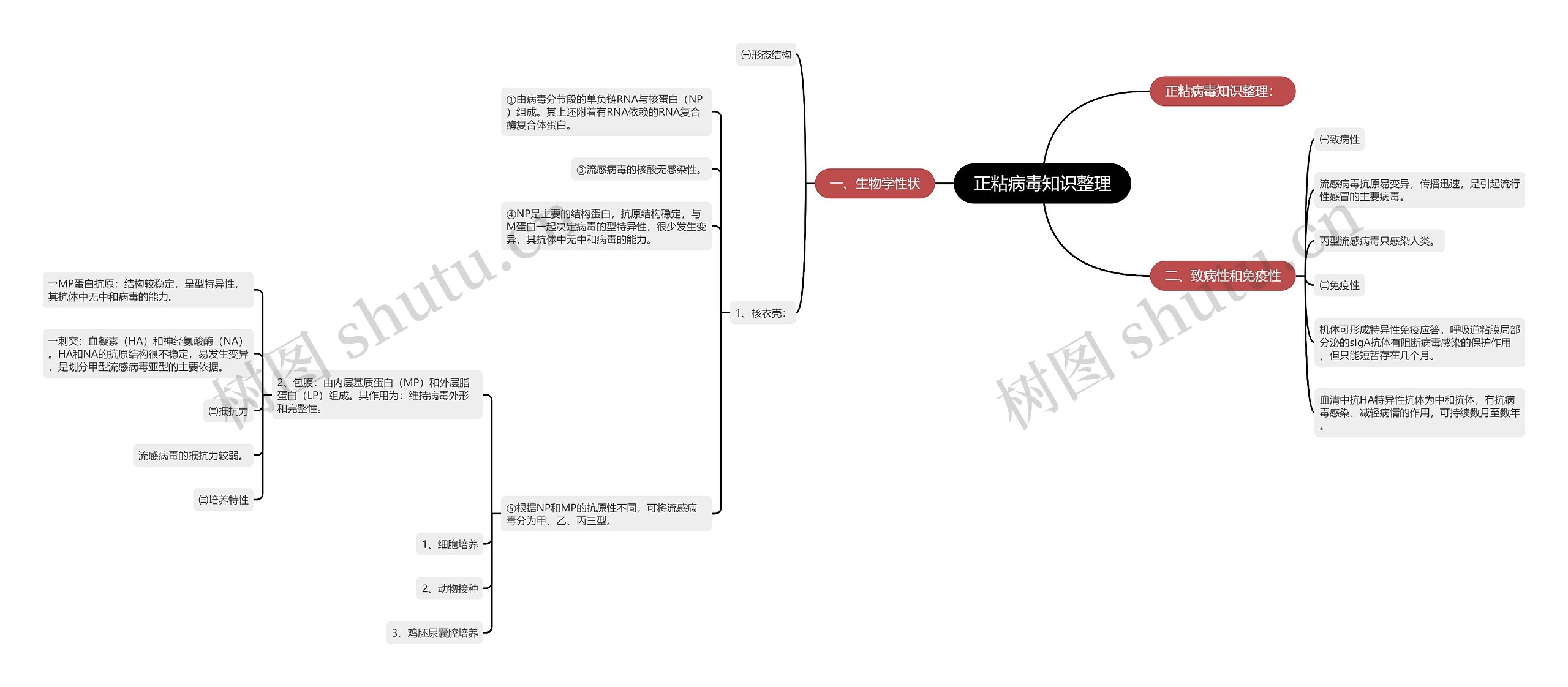 正粘病毒知识整理思维导图