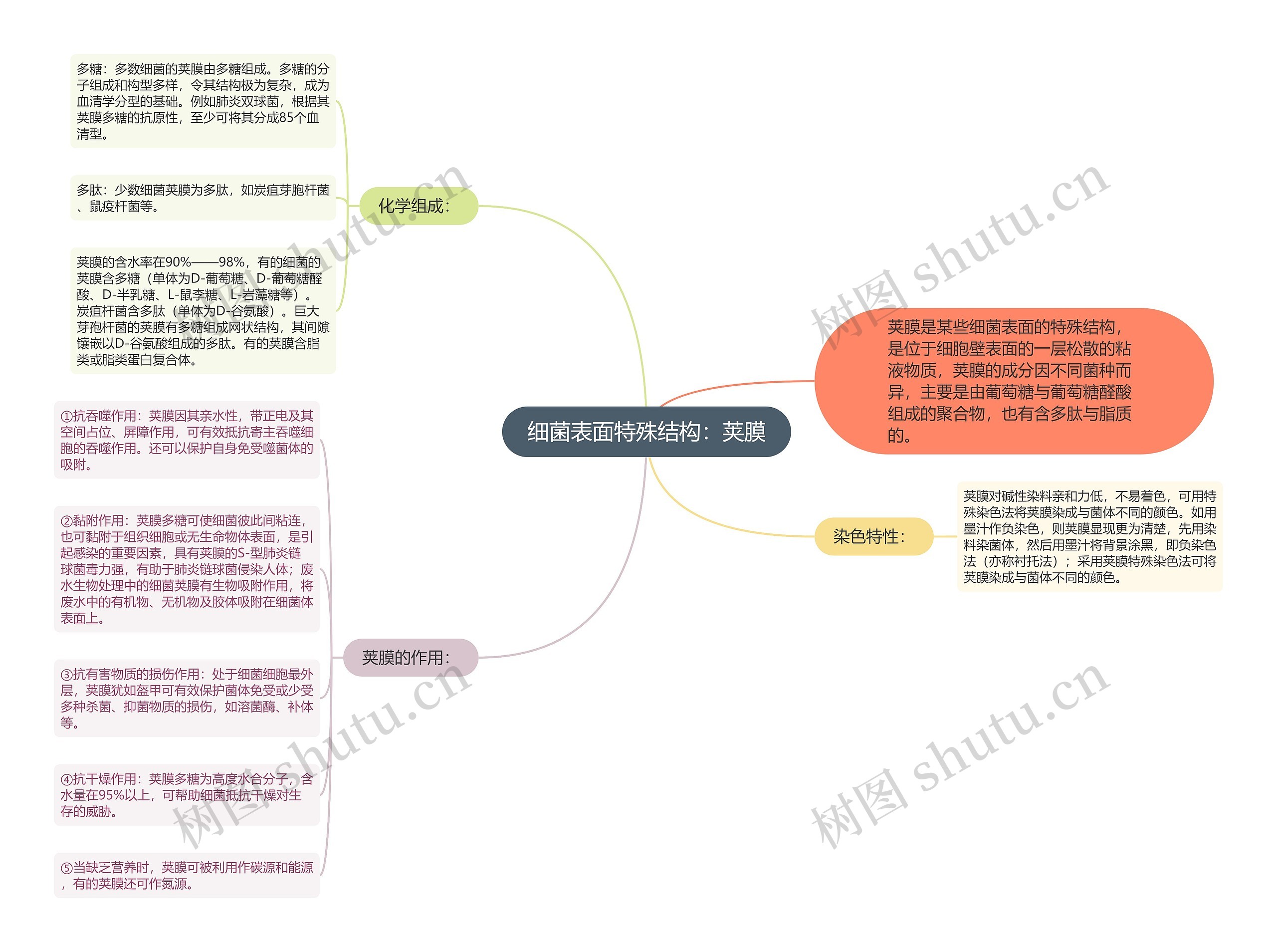 细菌表面特殊结构：荚膜思维导图