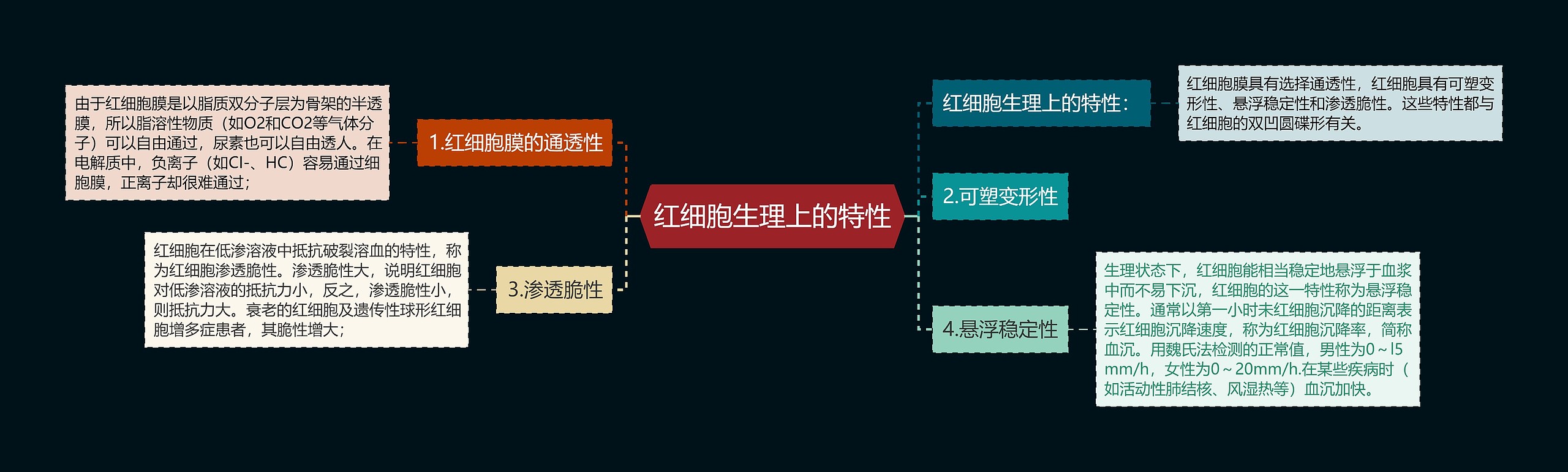 红细胞生理上的特性思维导图