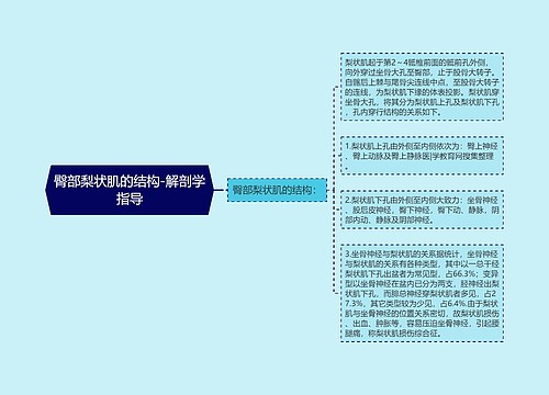 臀部梨状肌的结构-解剖学指导