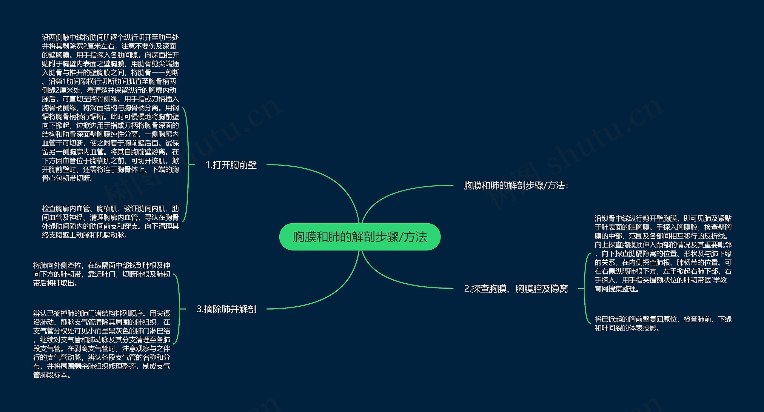 胸膜和肺的解剖步骤/方法思维导图