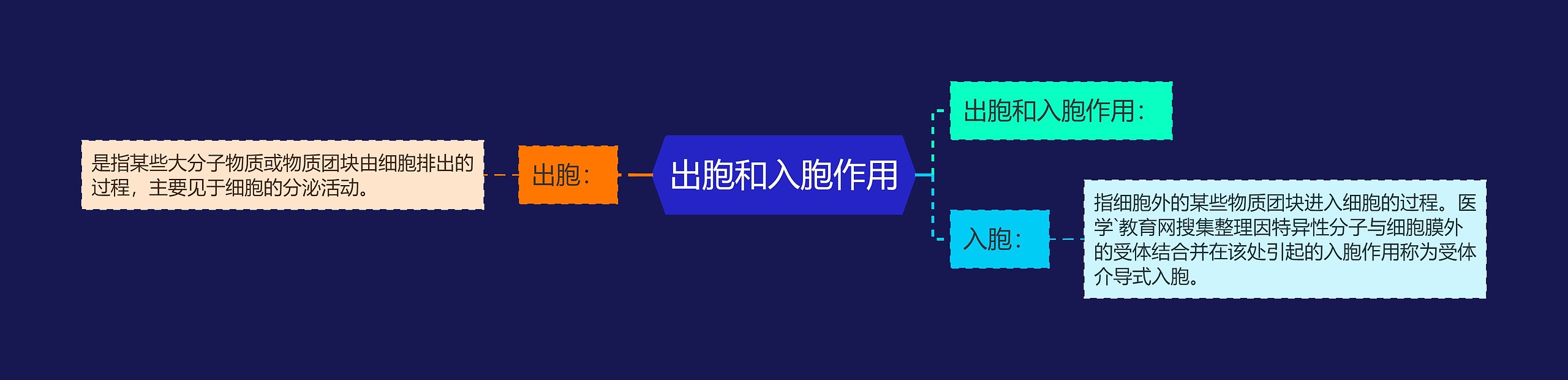 出胞和入胞作用