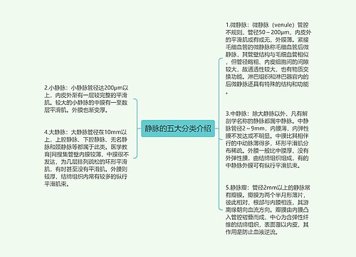 静脉的五大分类介绍