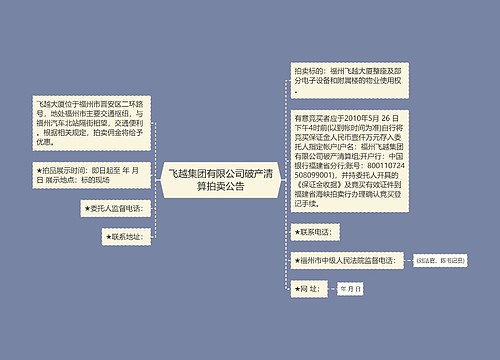 飞越集团有限公司破产清算拍卖公告