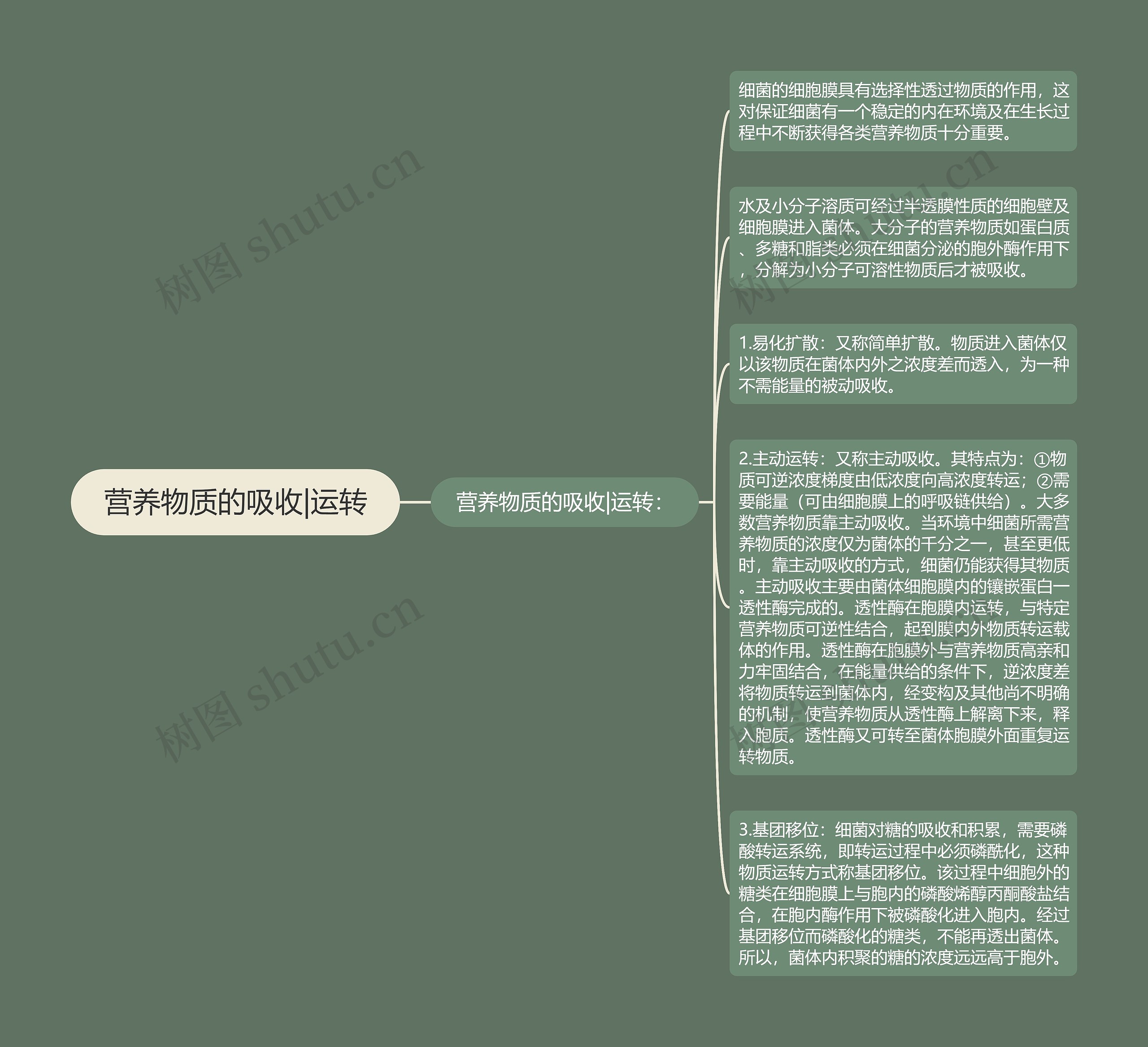 营养物质的吸收|运转