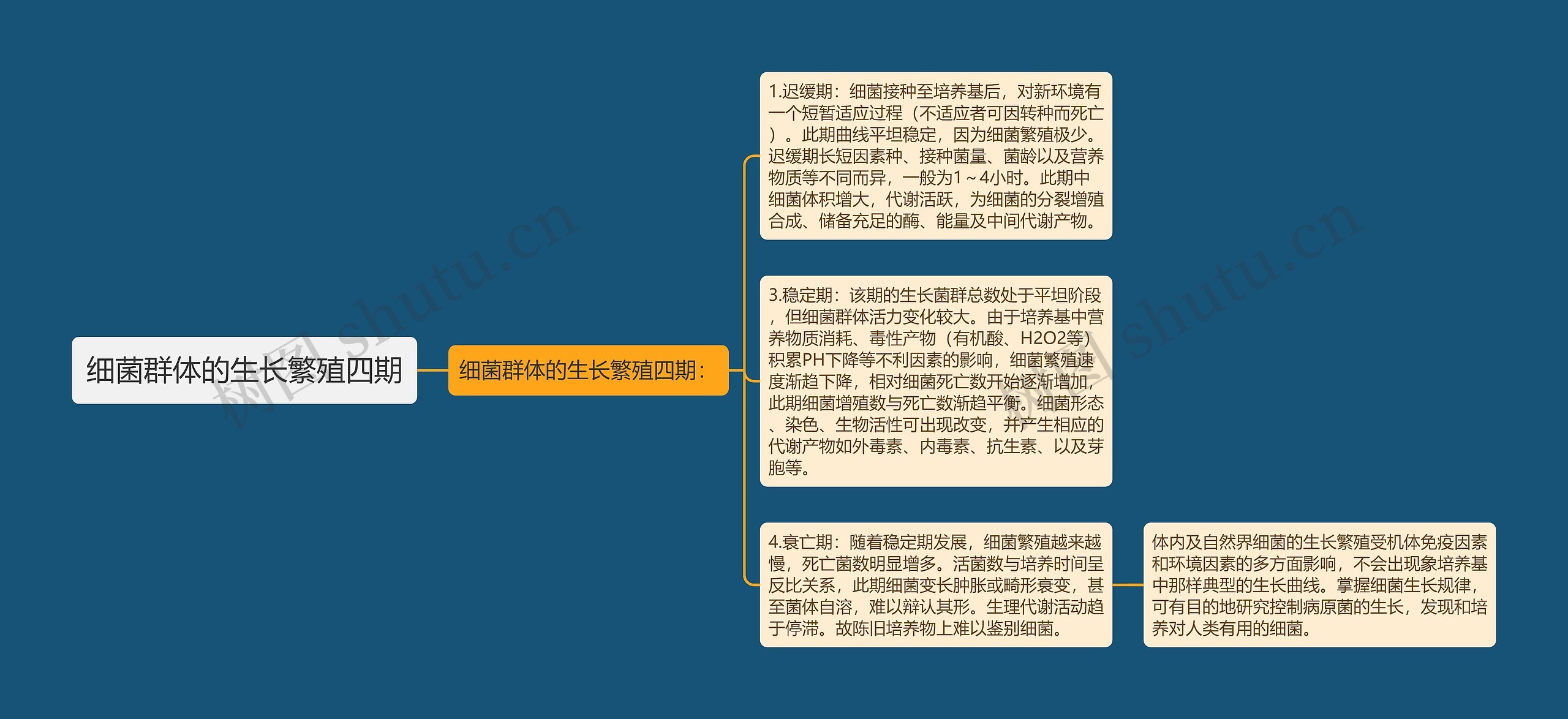 细菌群体的生长繁殖四期 细菌群体的生长繁殖四期