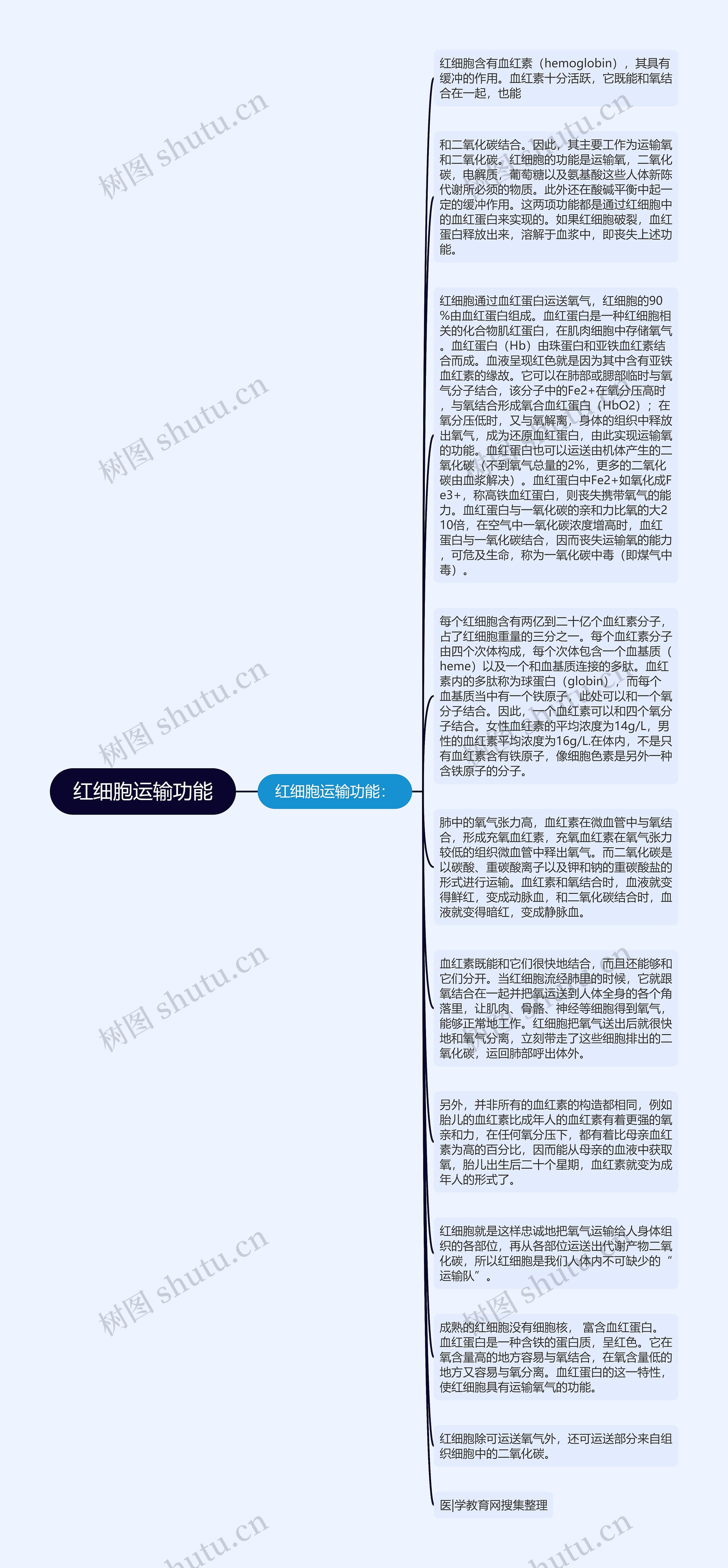 红细胞运输功能思维导图