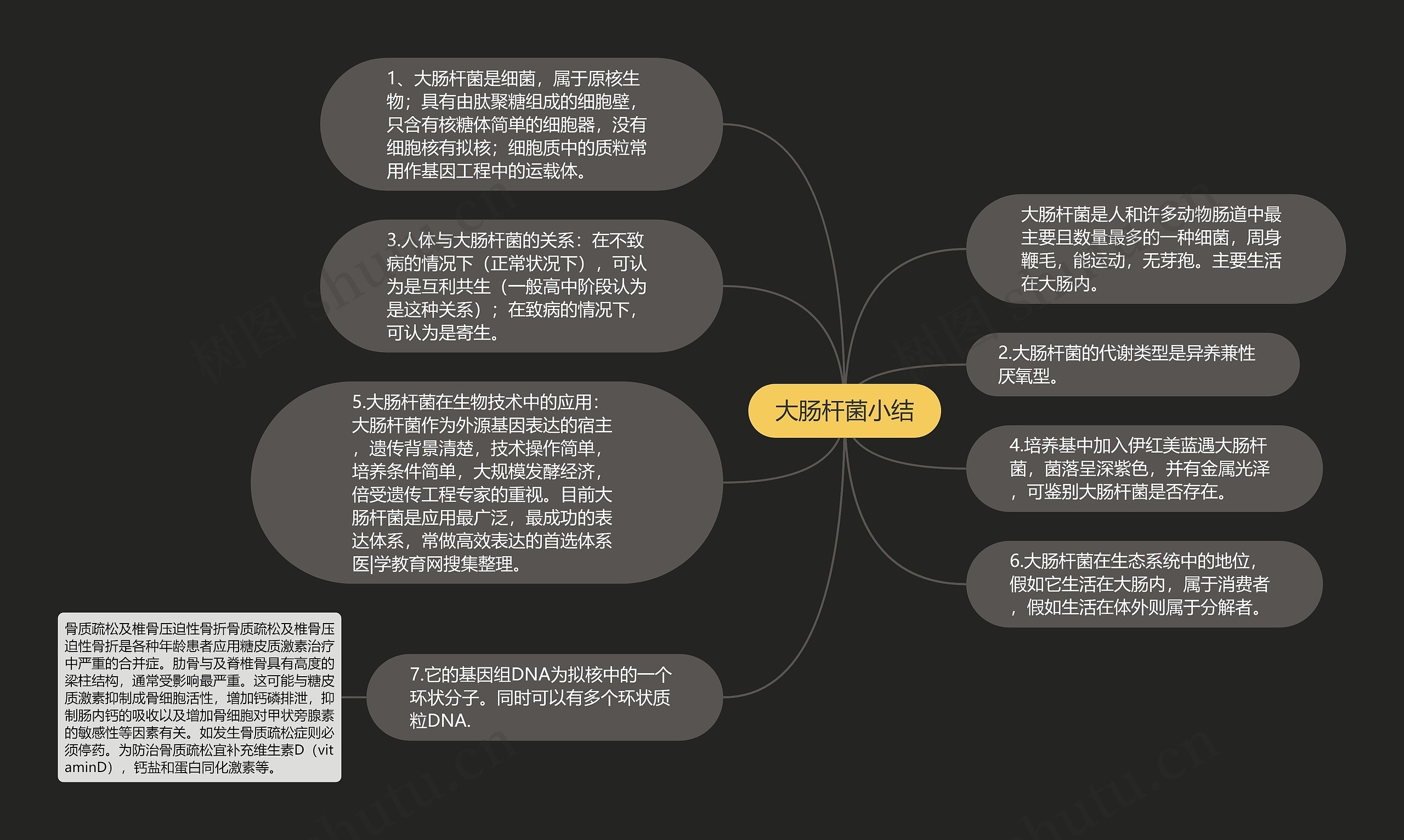 大肠杆菌小结思维导图