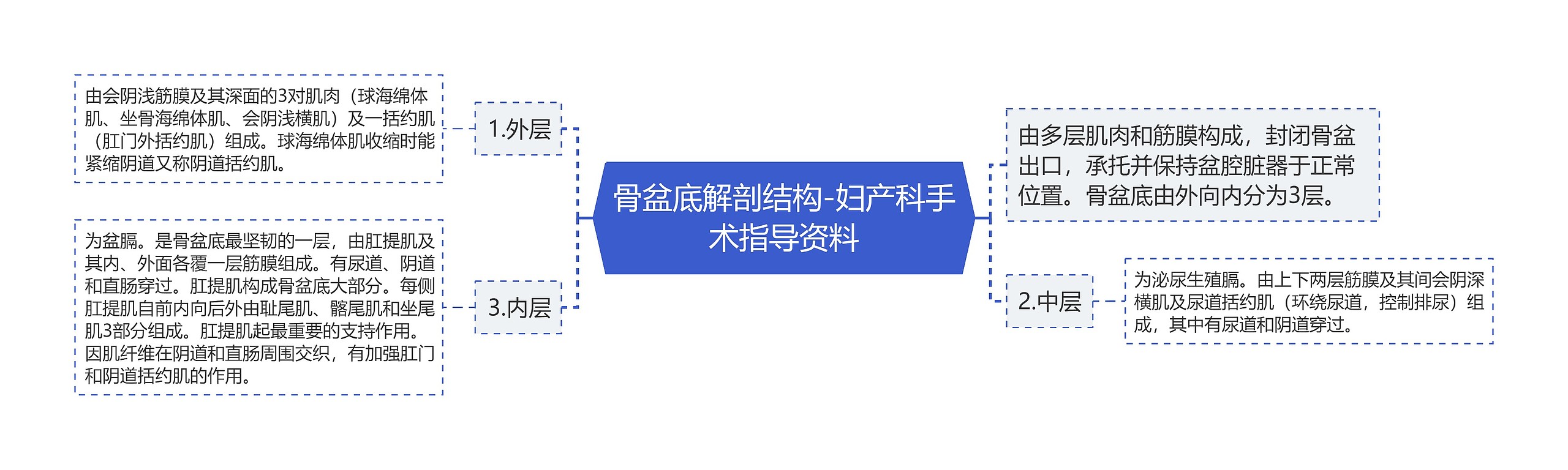 骨盆底解剖结构-妇产科手术指导资料思维导图