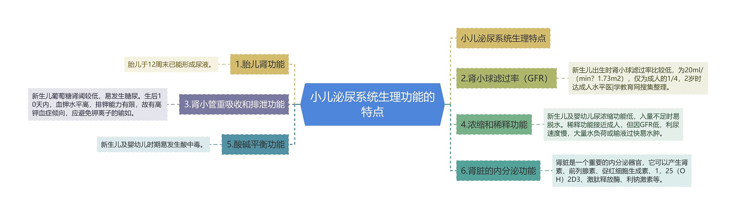 小儿泌尿系统生理功能的特点