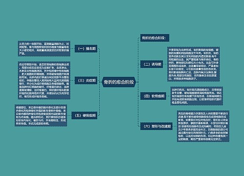 骨折的愈合阶段