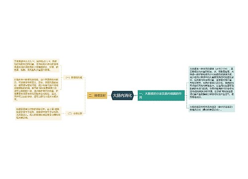 大肠内消化