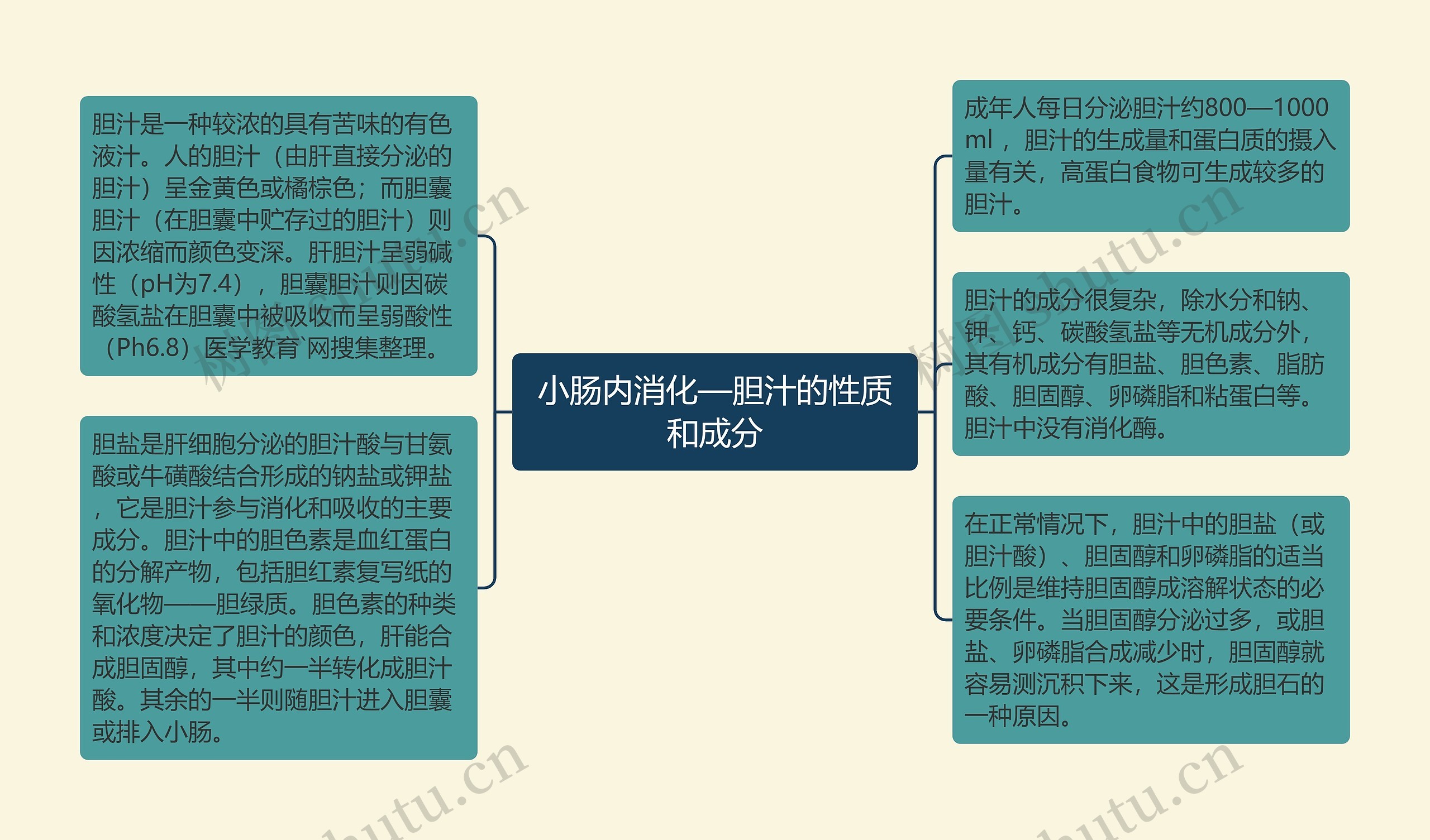小肠内消化—胆汁的性质和成分 小肠内消化—胆汁的性质和成分