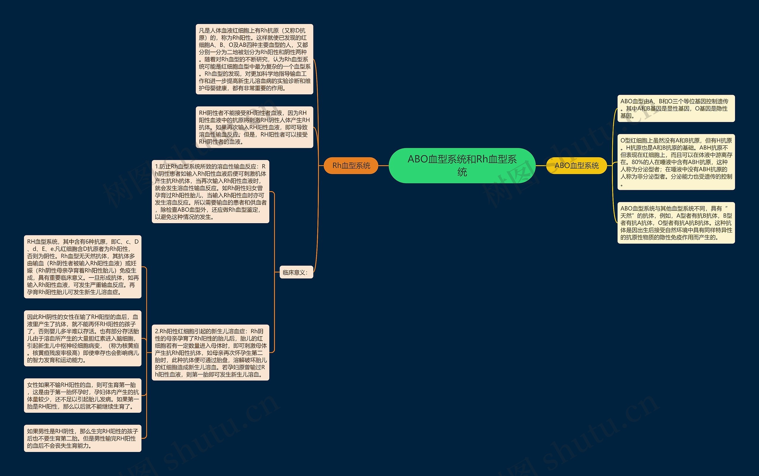 ABO血型系统和Rh血型系统思维导图