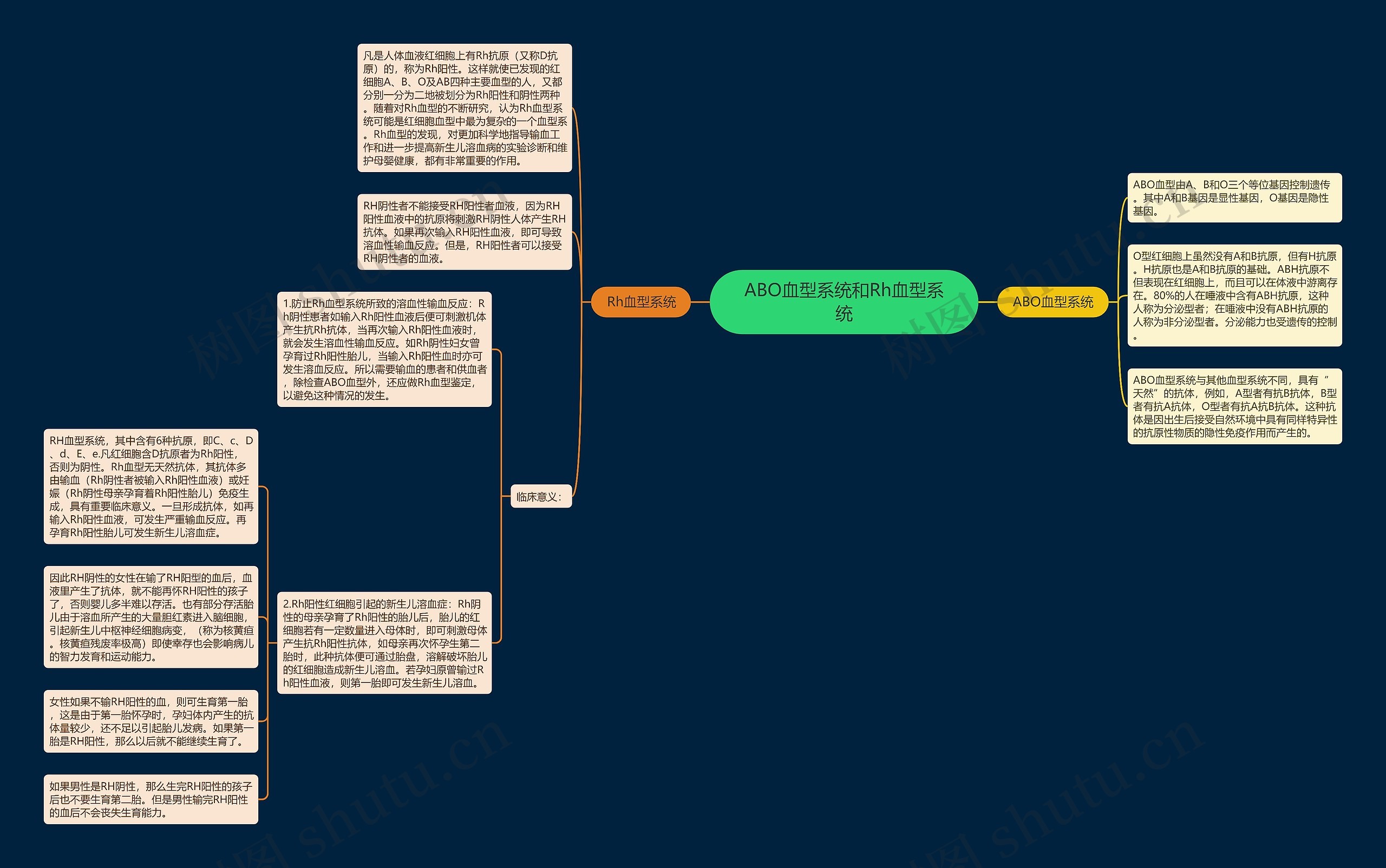 ABO血型系统和Rh血型系统 ABO血型系统和Rh血型系统