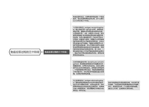 免疫应答过程的三个阶段