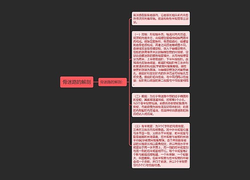 骨迷路的解剖