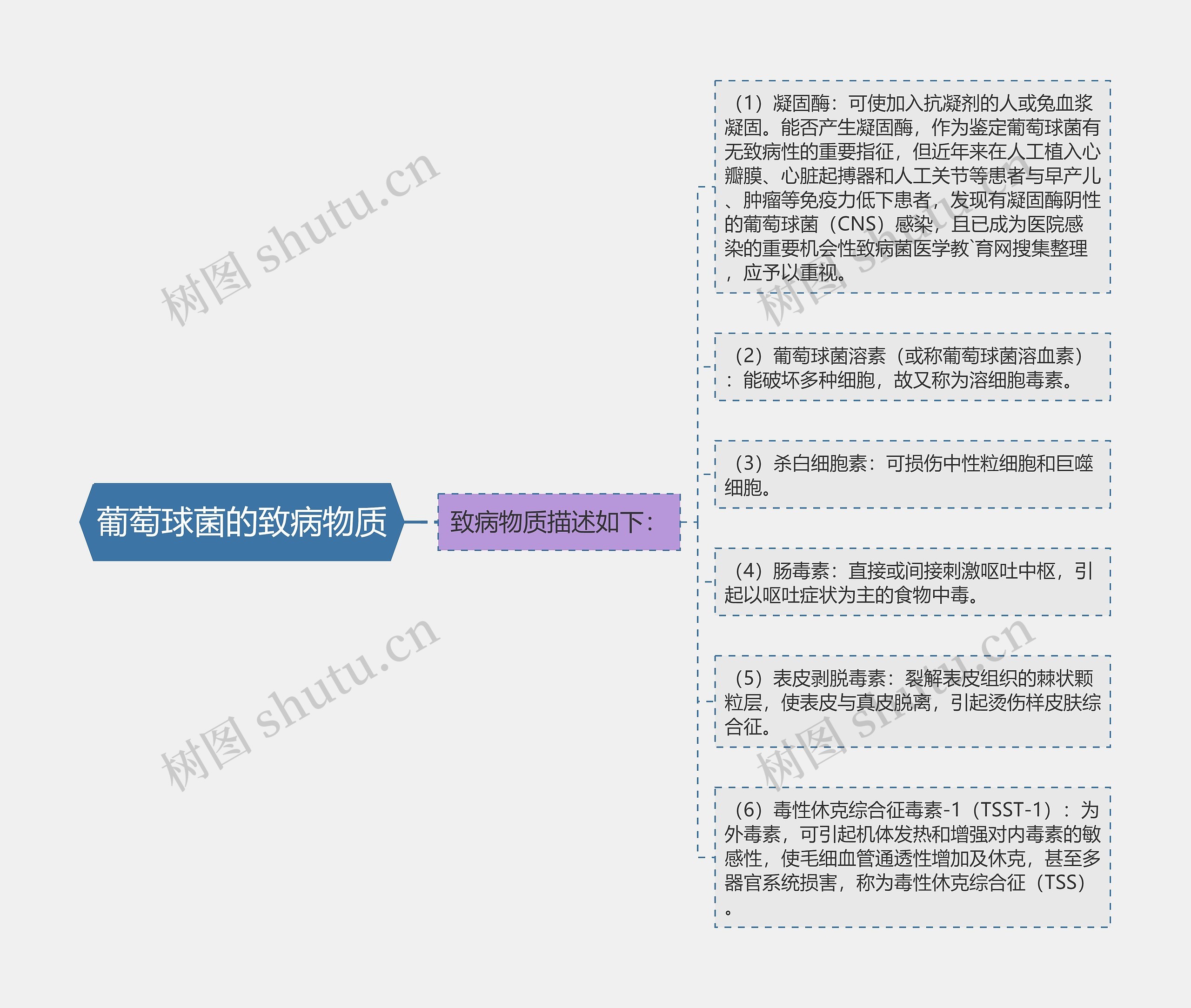 葡萄球菌的致病物质思维导图