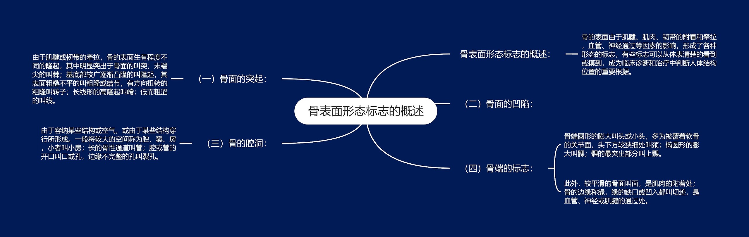 骨表面形态标志的概述思维导图