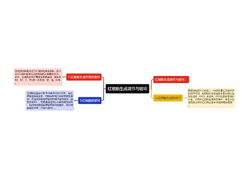 红细胞生成调节与破坏