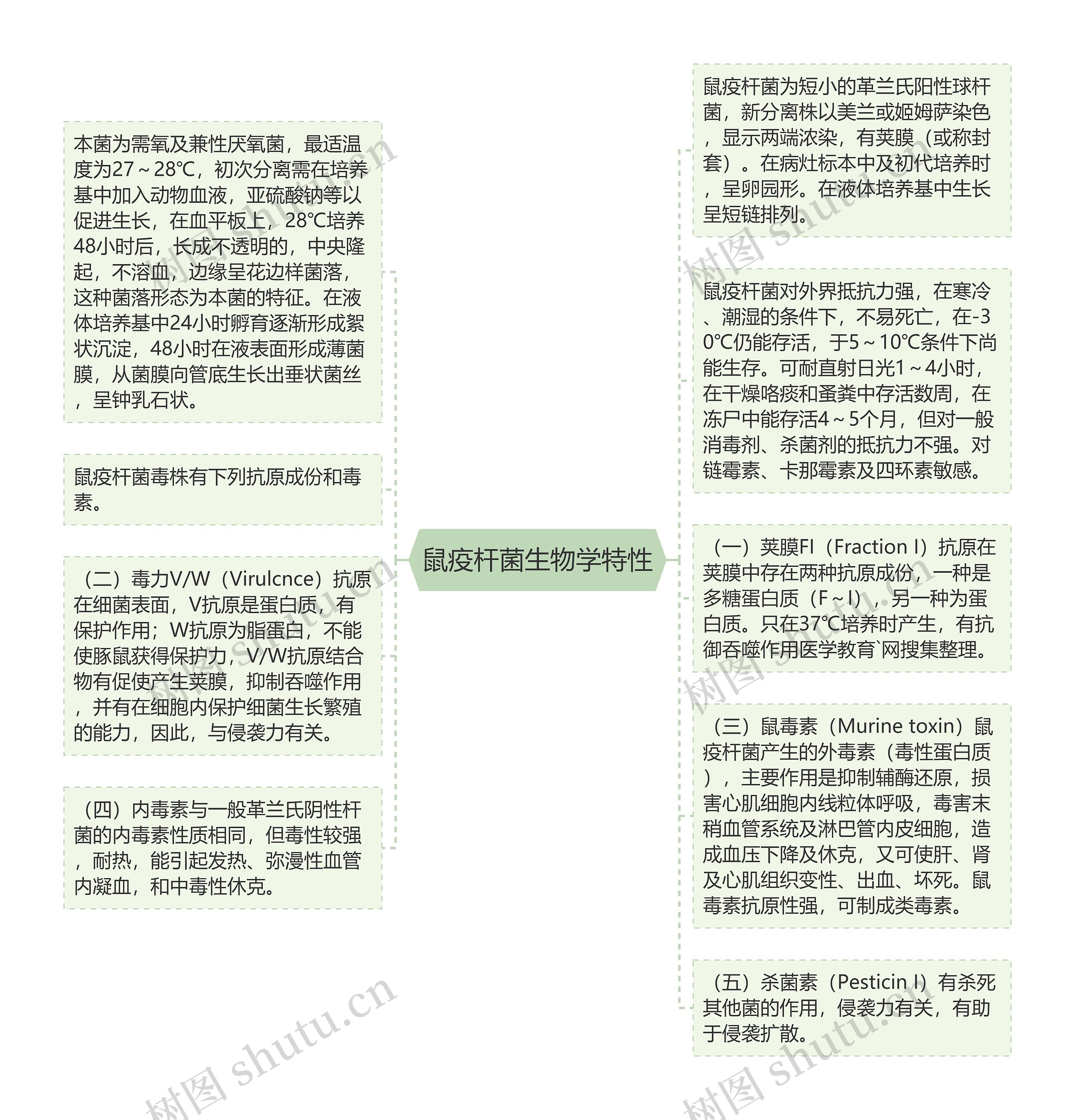 鼠疫杆菌生物学特性