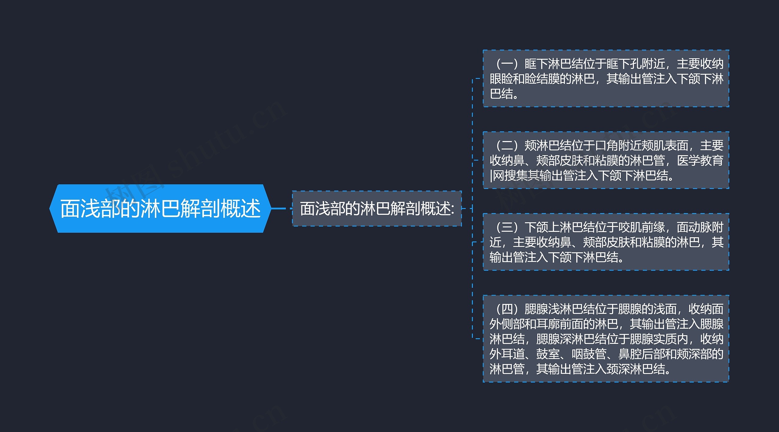 面浅部的淋巴解剖概述思维导图