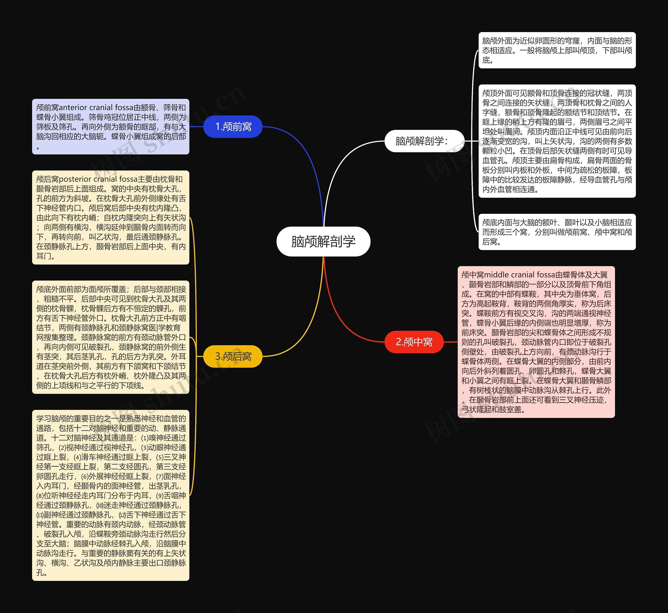 脑颅解剖学思维导图