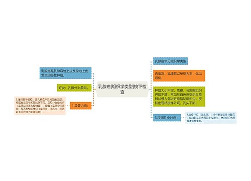 乳腺癌|组织学类型|镜下检查