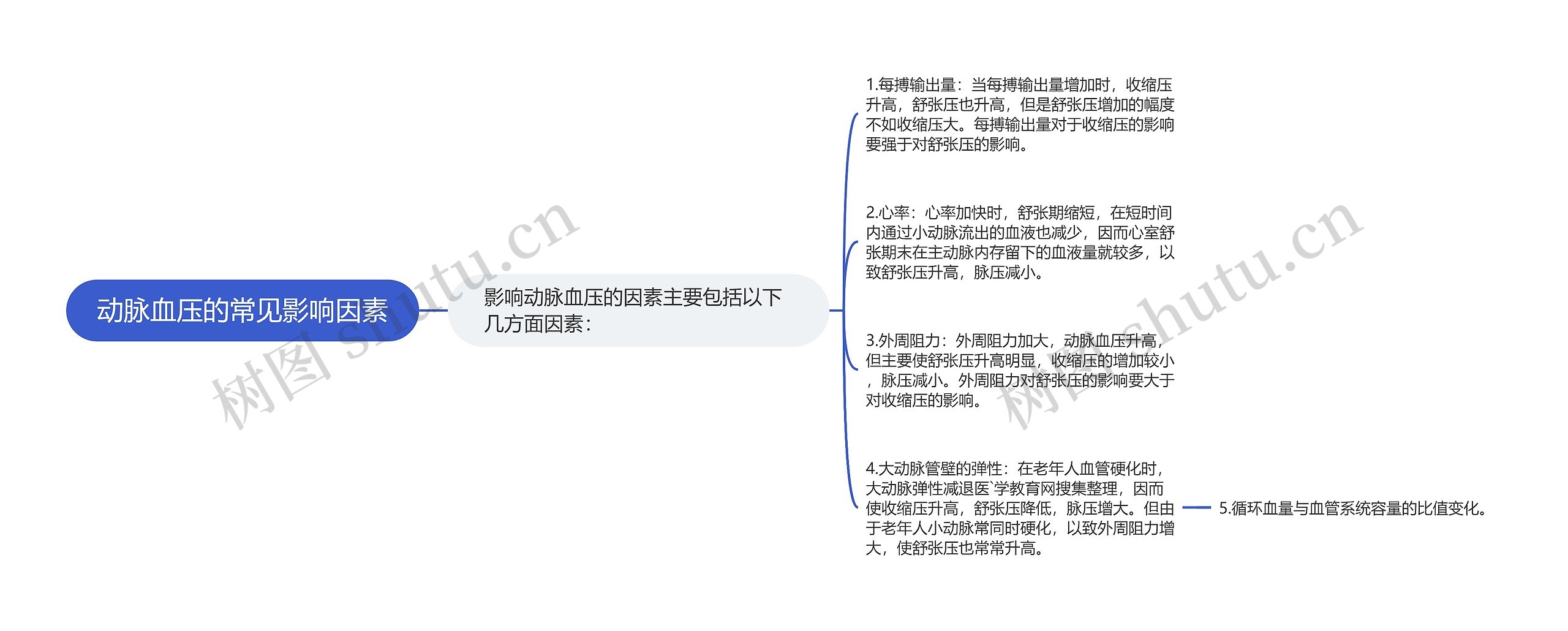 动脉血压的常见影响因素思维导图