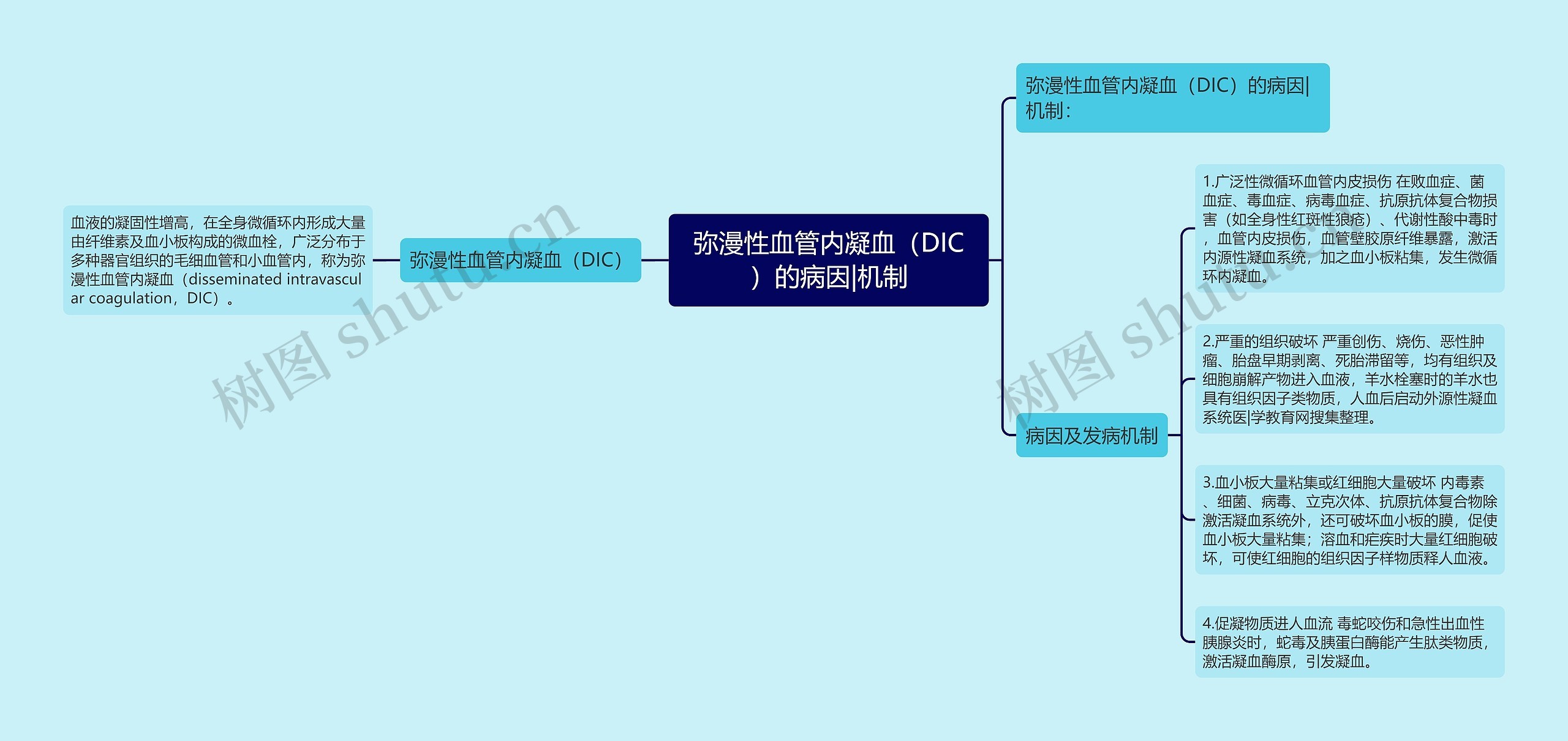 弥漫性血管内凝血（DIC）的病因|机制