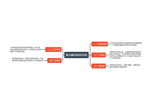 臂丛解剖结构巩固