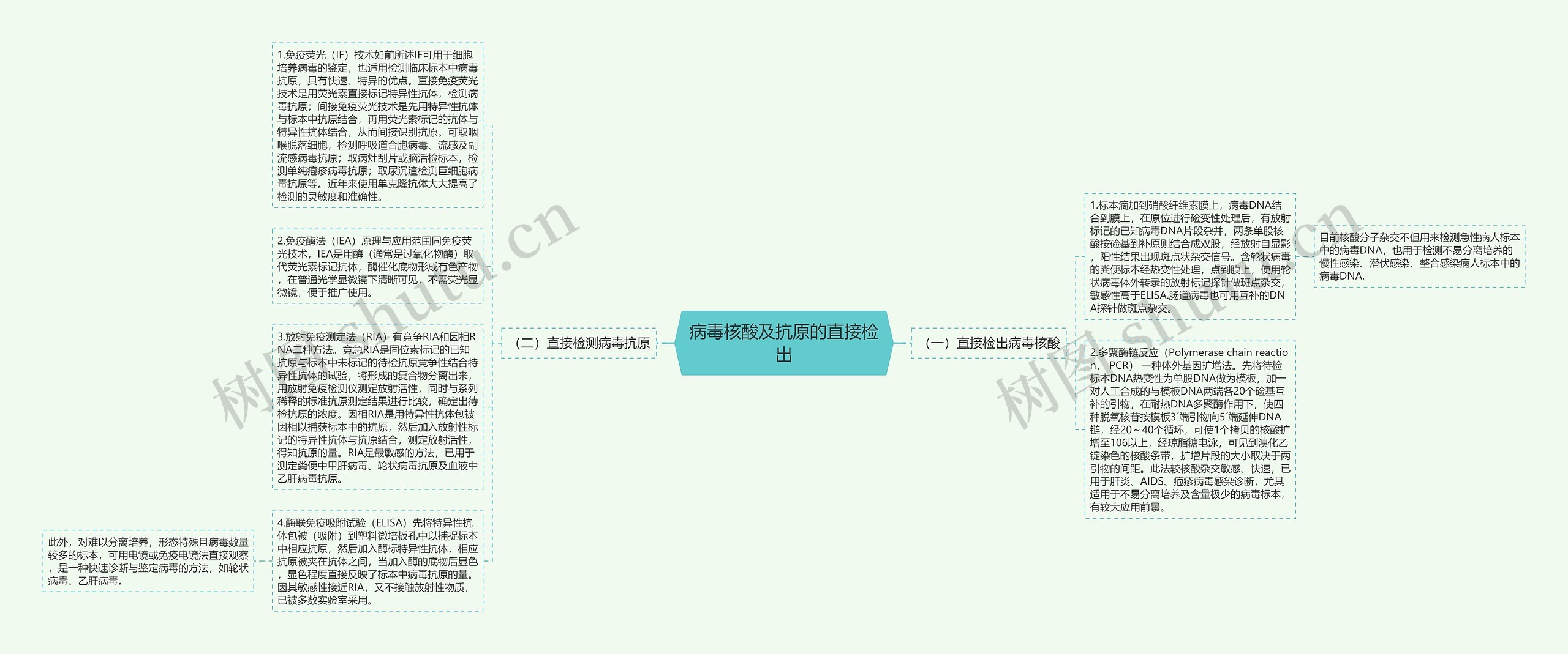 病毒核酸及抗原的直接检出