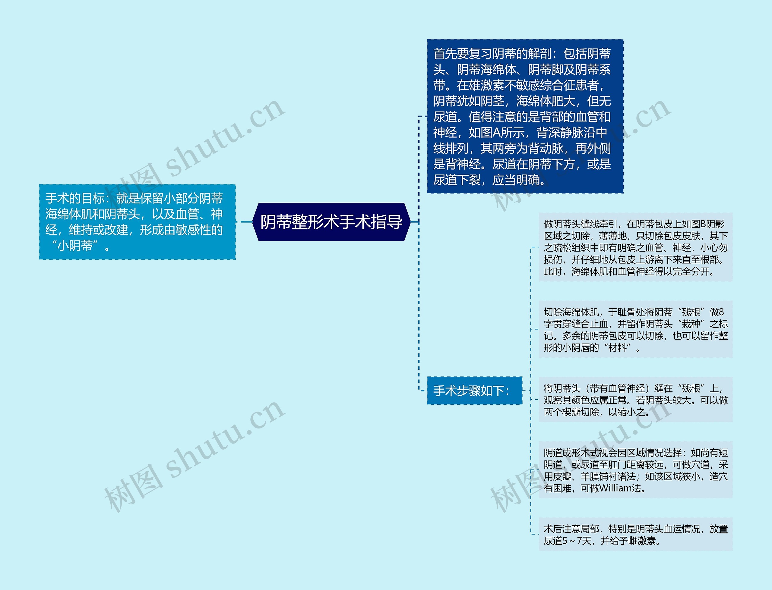 阴蒂整形术手术指导