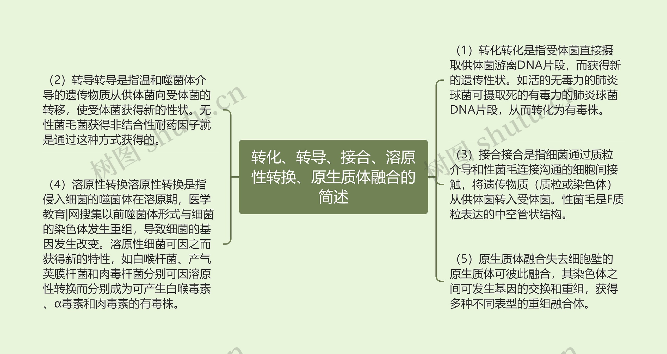 转化、转导、接合、溶原性转换、原生质体融合的简述思维导图