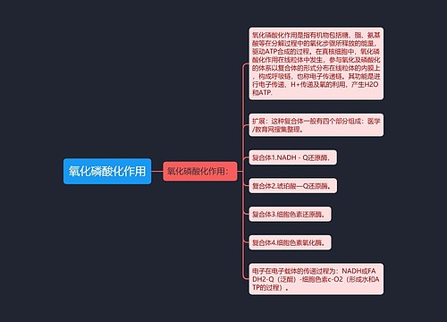 氧化磷酸化作用