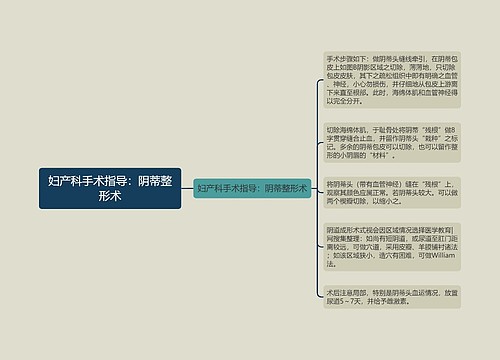 妇产科手术指导：阴蒂整形术