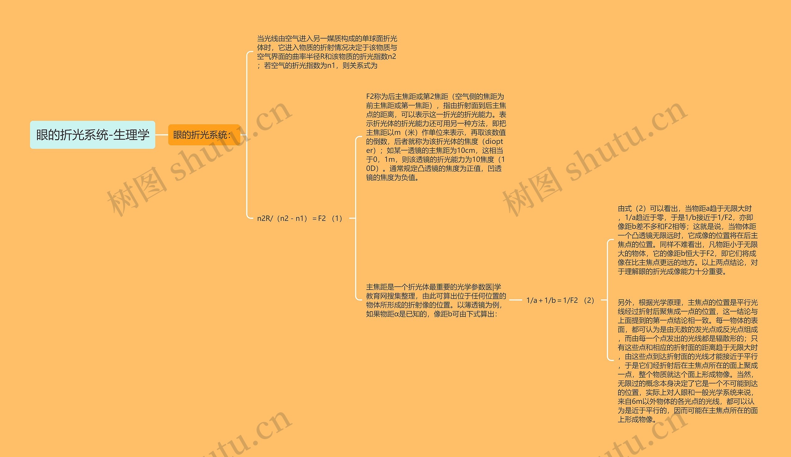 眼的折光系统-生理学