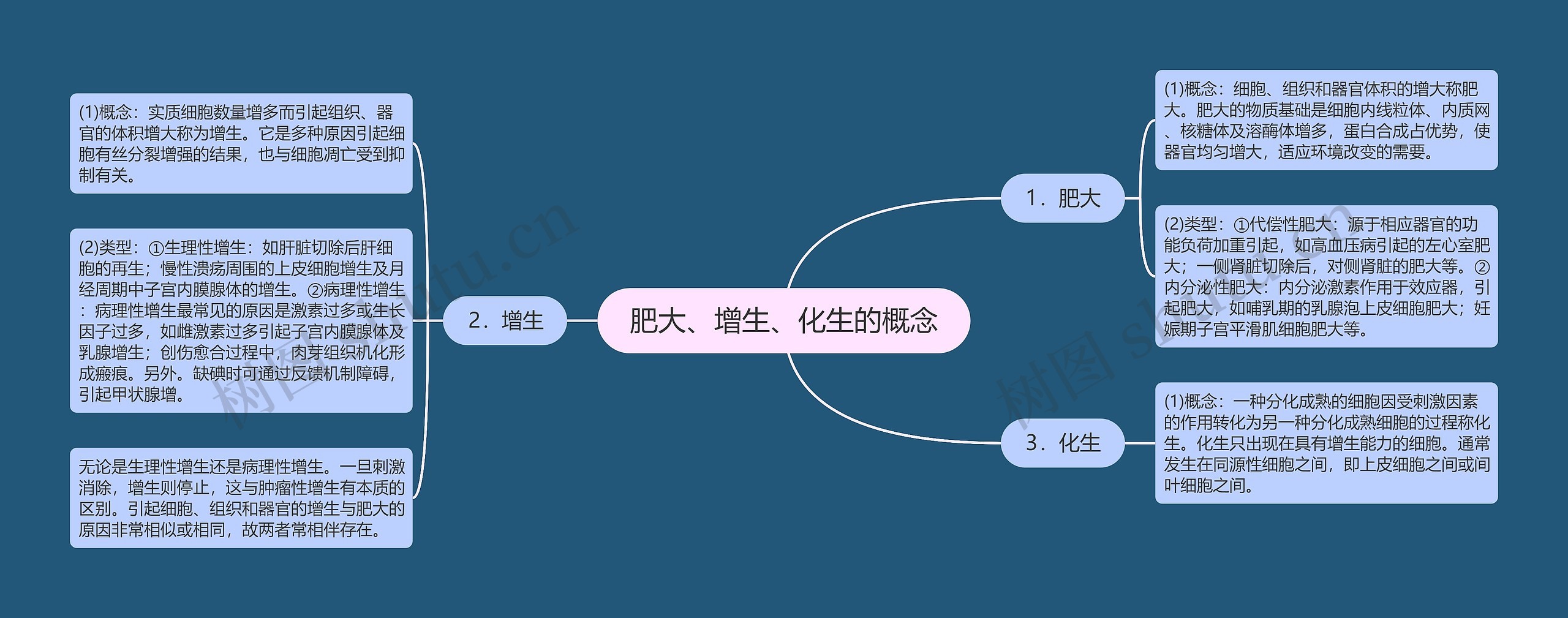 肥大、增生、化生的概念