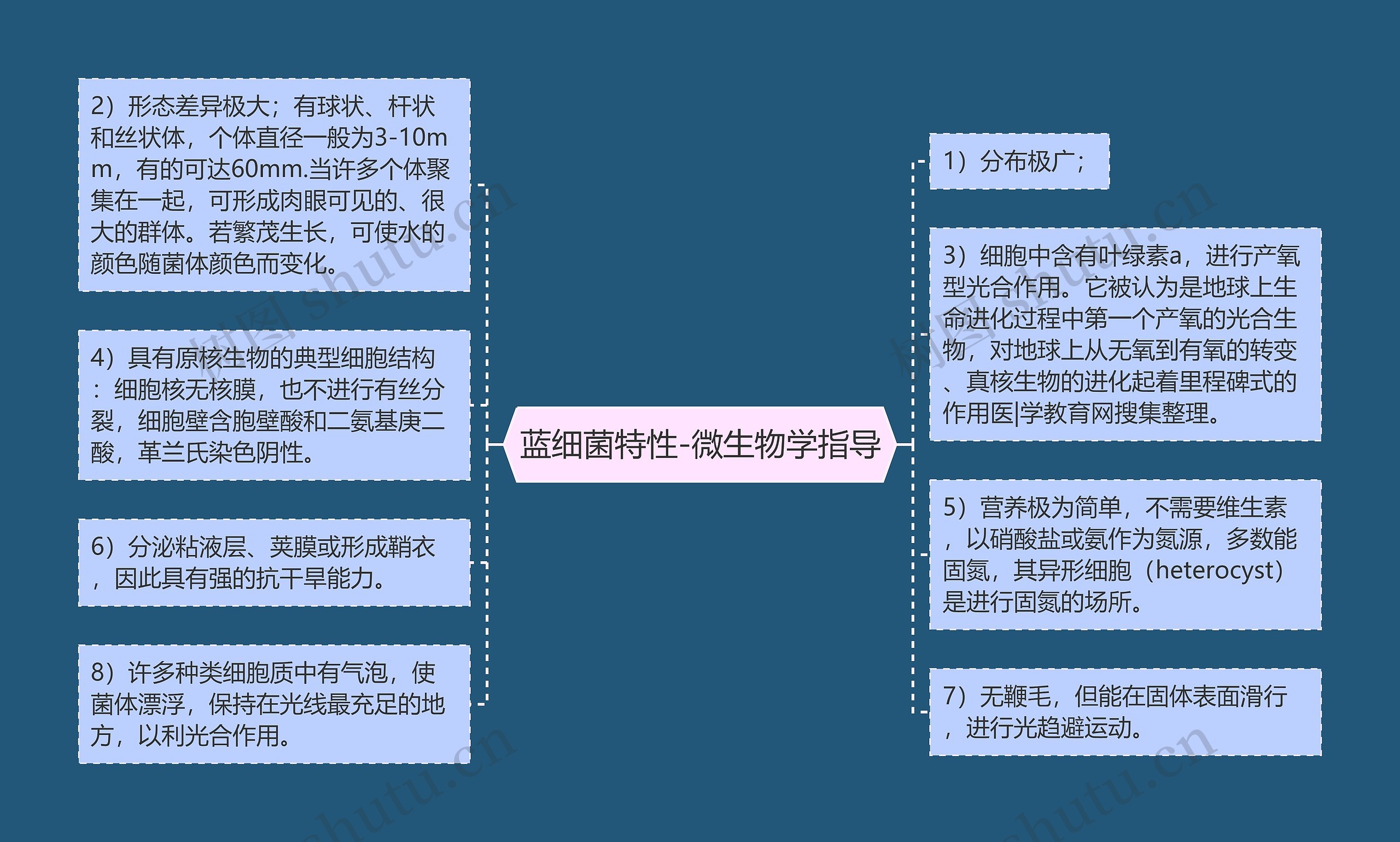 蓝细菌特性-微生物学指导思维导图