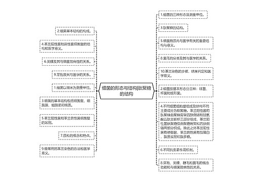 细菌的形态与结构|肽聚糖的结构