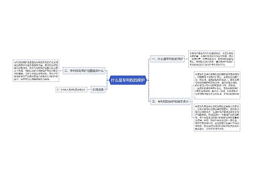 什么是专利权的保护