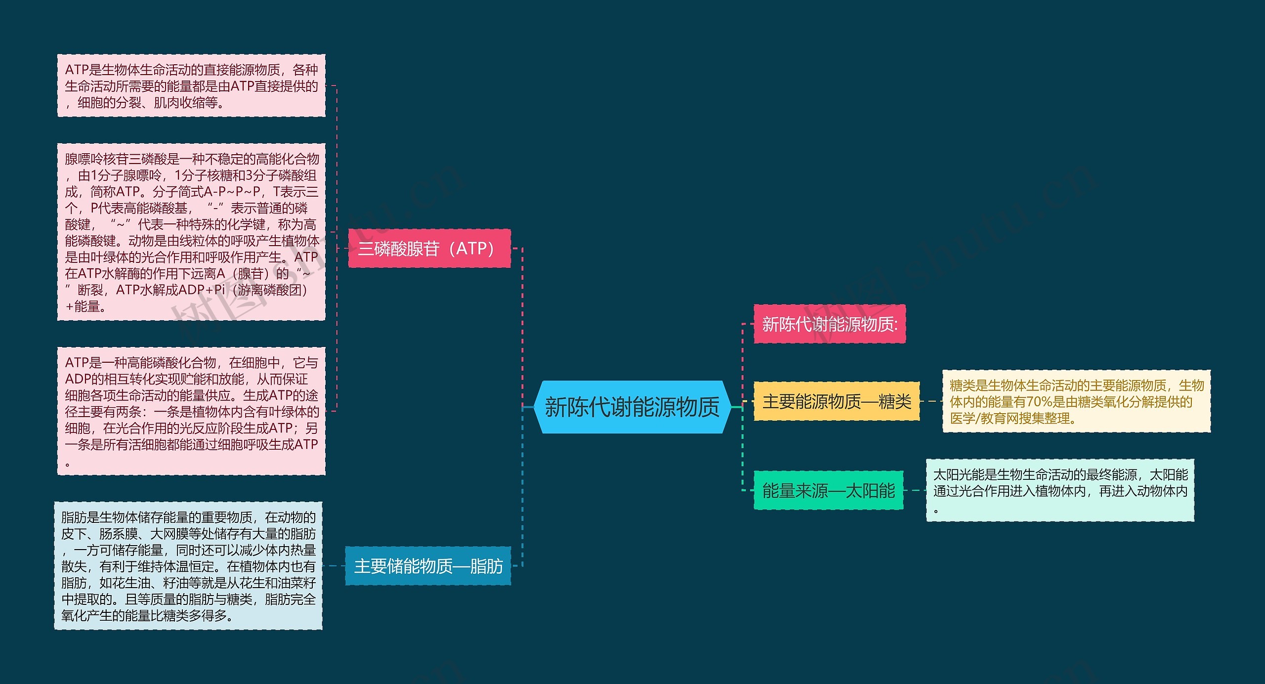 新陈代谢能源物质思维导图高清图 新陈代谢能源物质思维导图