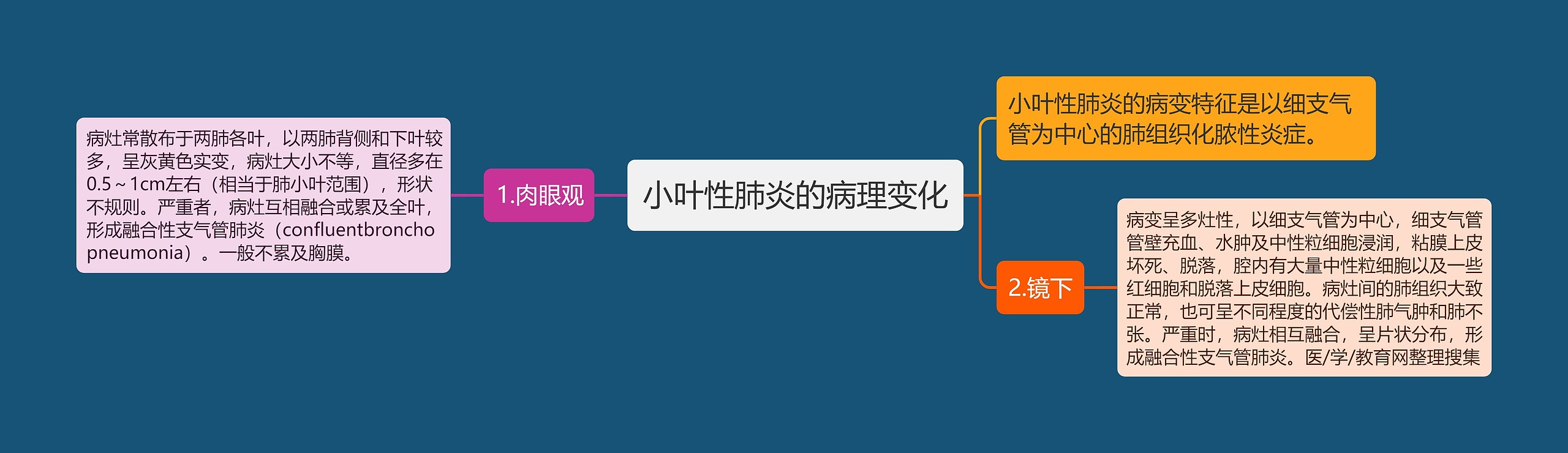 小叶性肺炎的病理变化 小叶性肺炎的病理变化