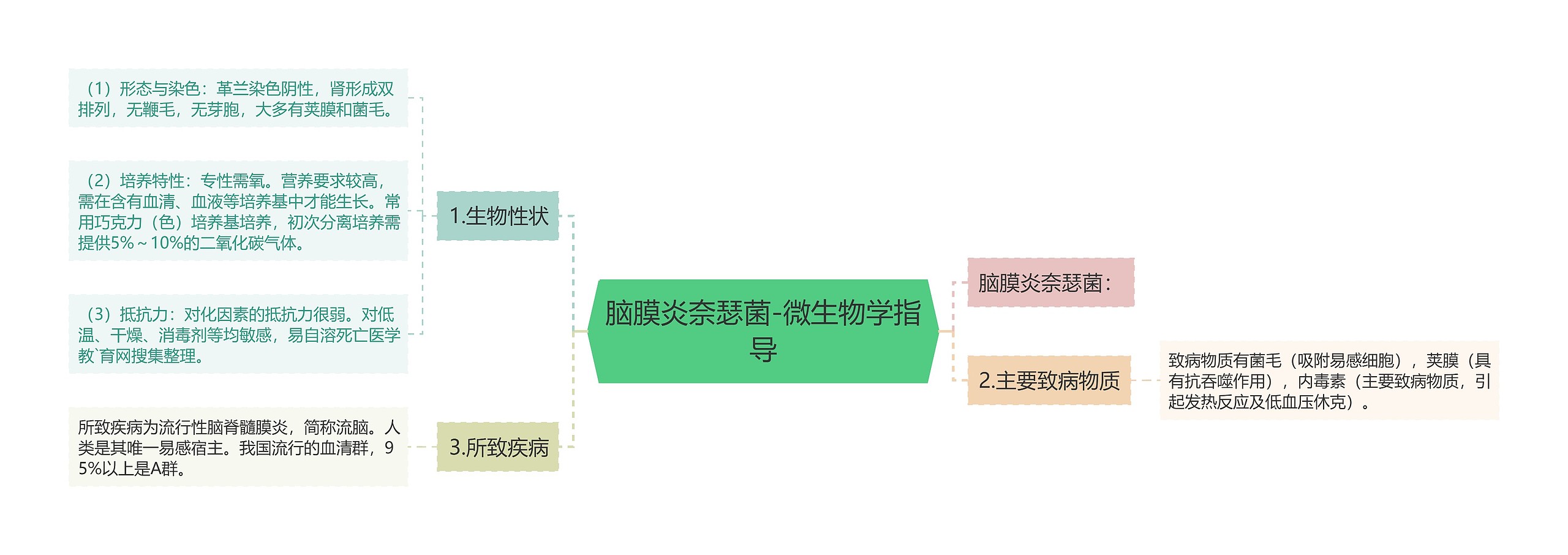 脑膜炎奈瑟菌-微生物学指导