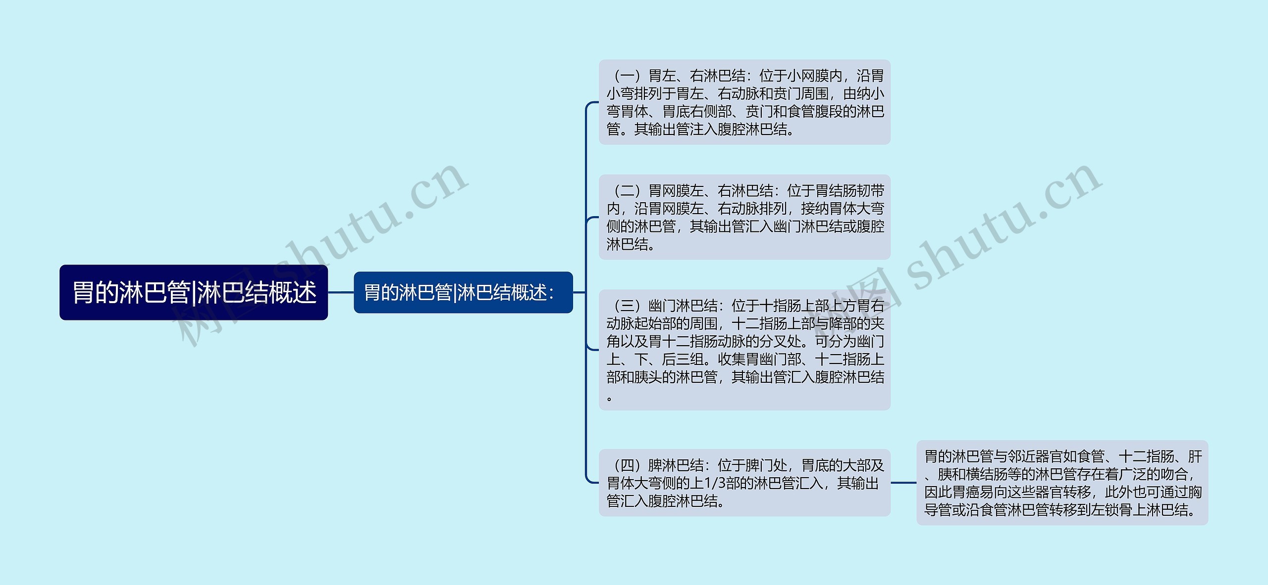 胃的淋巴管|淋巴结概述思维导图