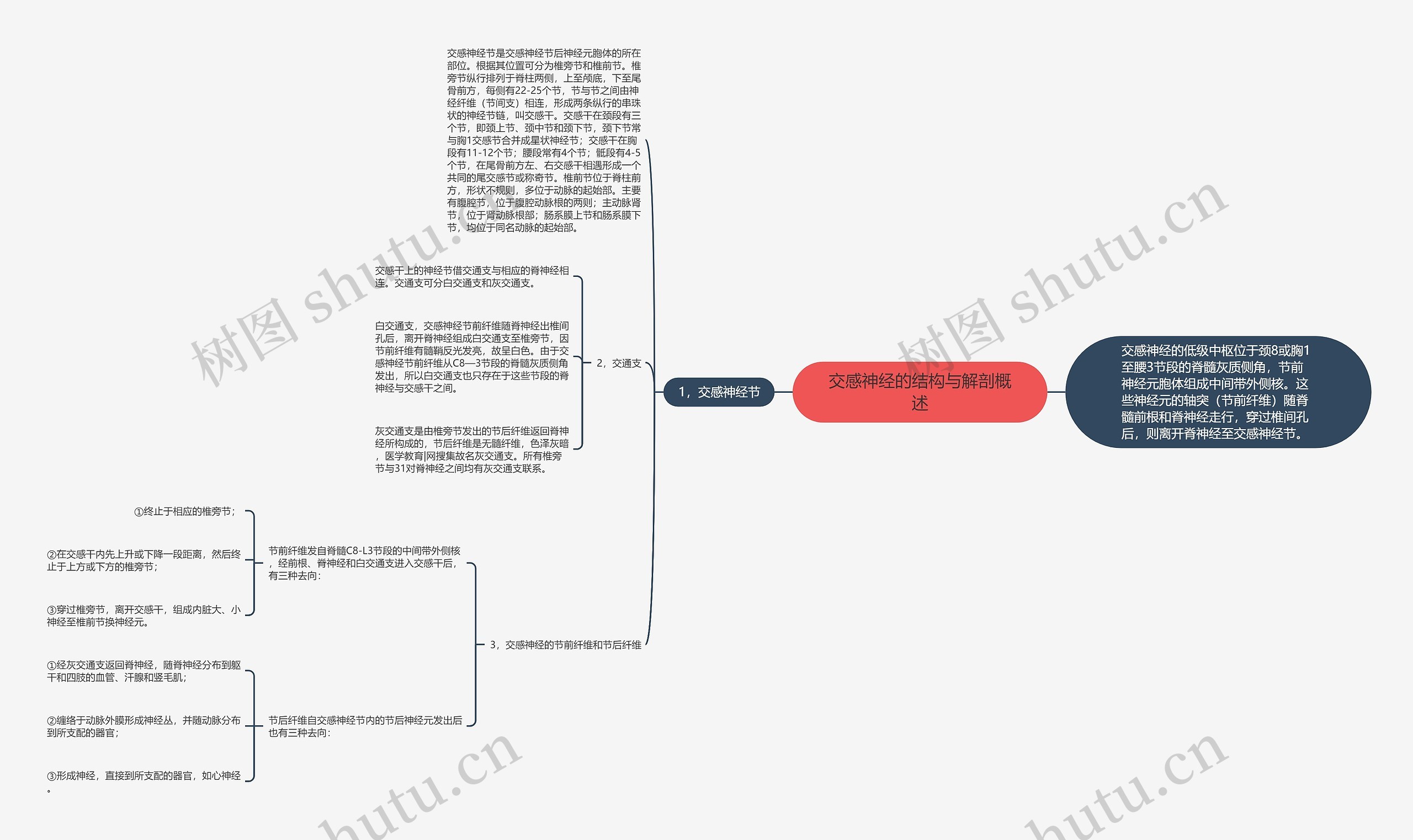 交感神经的结构与解剖概述思维导图