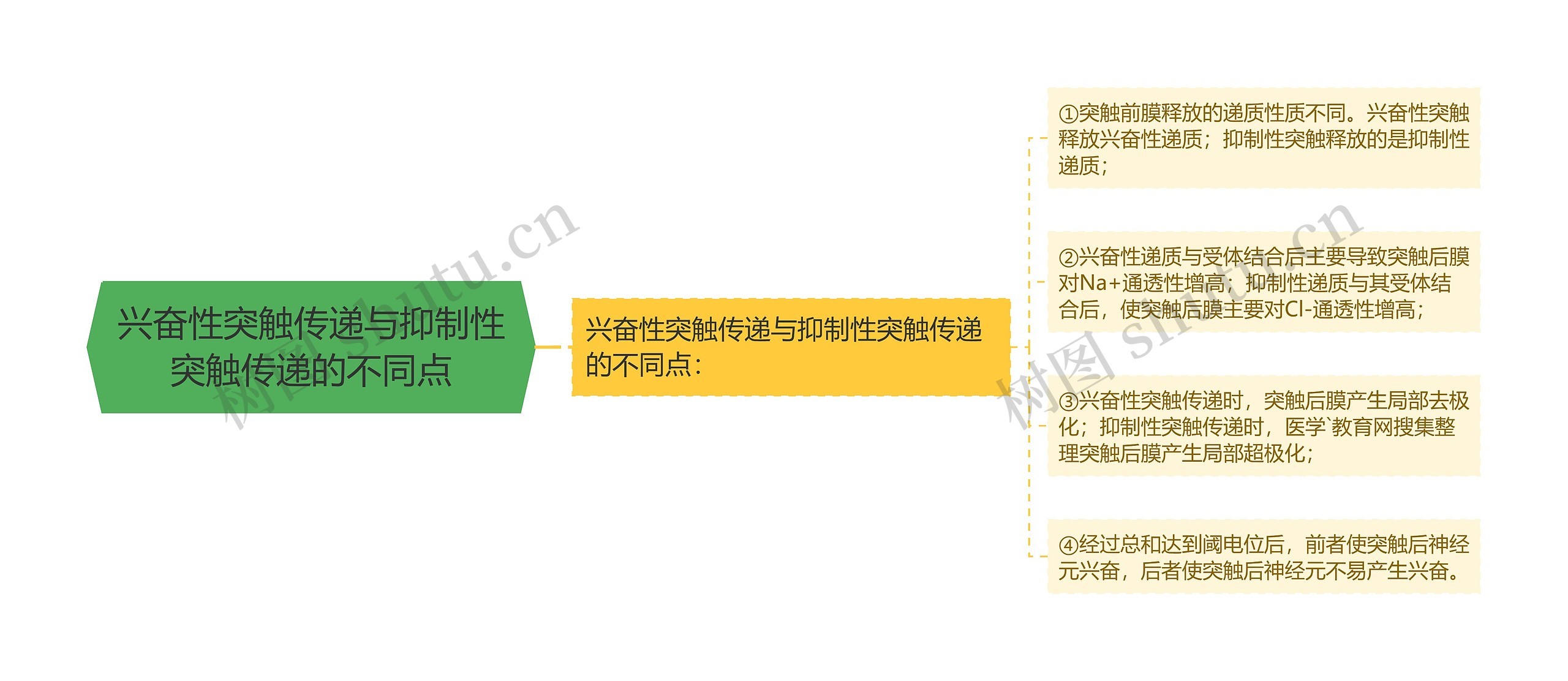 兴奋性突触传递与抑制性突触传递的不同点